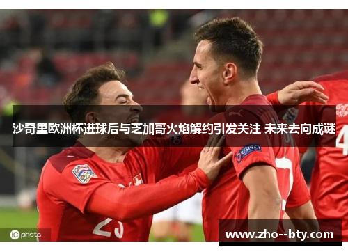 沙奇里欧洲杯进球后与芝加哥火焰解约引发关注 未来去向成谜